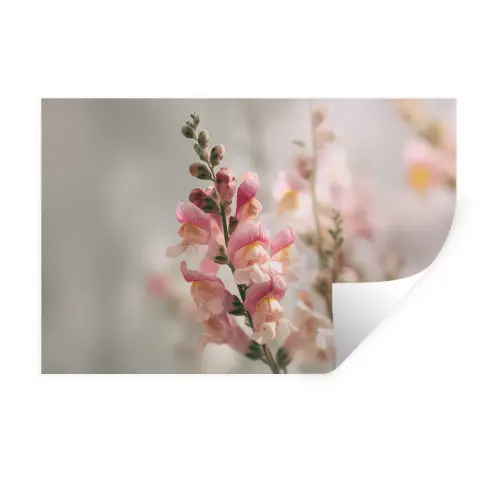 Bloem - Leeuwenbek - Roze - Stengel Muursticker klein -3d