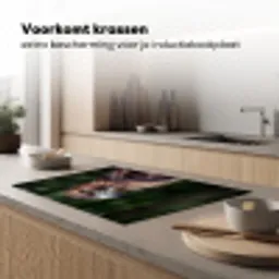 Buizerd - Roofvogel - Natuur - Bruin Inductie beschermer vinyl 3mm klein -sfeer1