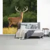 Hert - Gewei - Gras - Natuur - Dieren - Groen fotobehang vinyl groot -slaapkamer