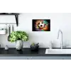 Voetbal - Verf - Kleuren - Zwart - Wit Muursticker klein -keuken
