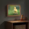 Kuiken - Eend - Geel - Gras Light Box met batterij (Wandlamp kind) middel -sfeer5_kind