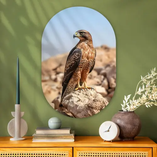 Valk - Vogel - Rots - Macht Wandcirkel Ovaal Glas middel -sfeer2