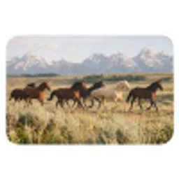 Paarden - Kudde - Bergen - Vrijheid - Wild Badmat klein -3d