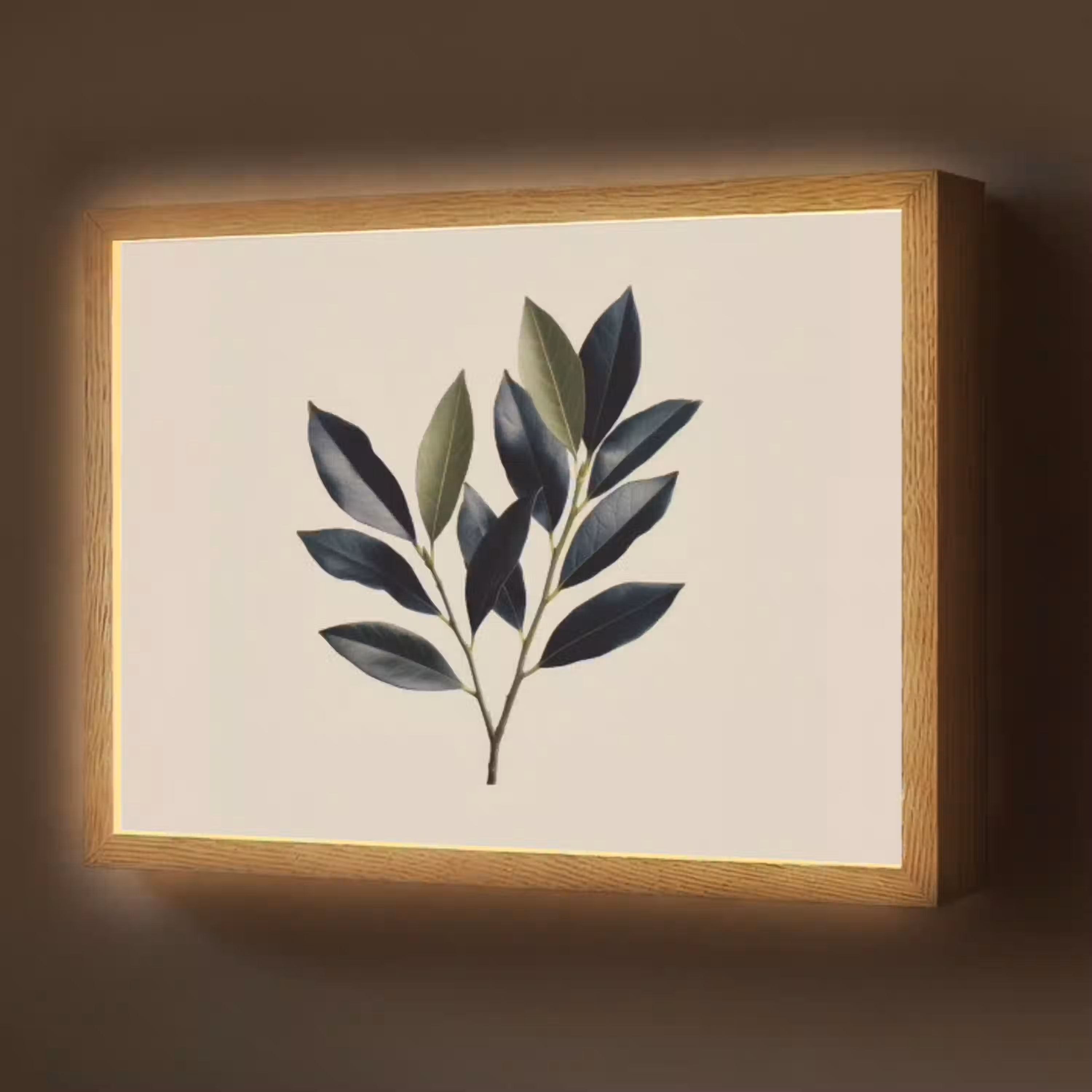 Ovaal - Olijfgroen - Simpel Light Box met batterij (Wandlamp) middel -z3d_website