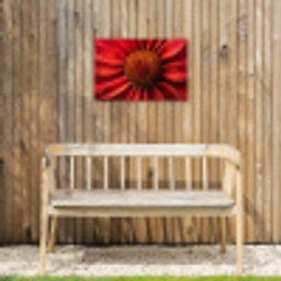 Close up - Bloem- Rood Tuinposter op houten frame 2 cm dik klein -sfeer4