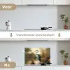 Reiger - Water - Planten keuken achterwand spatscherm klein -voor_na_NL