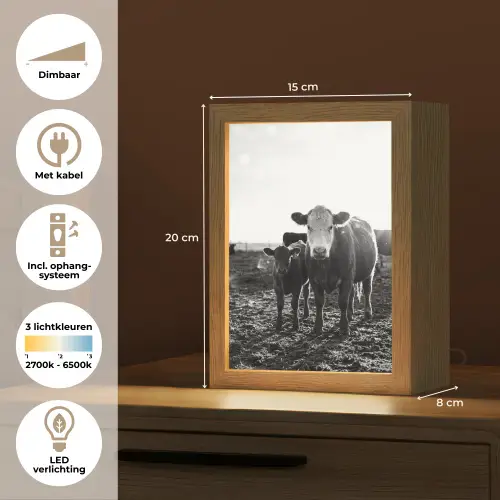 Koeien - Zwart - Wit Light Box met kabel (Tafellamp) klein -USP_NL