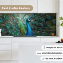Pauw - Veren - Blauw keuken achterwand 2 middel -sfeer4_NL