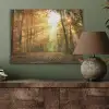 Bos - Herfst - Zon - Landschap - Natuur - Bomen - Bladeren PET vilt klein -sfeer2