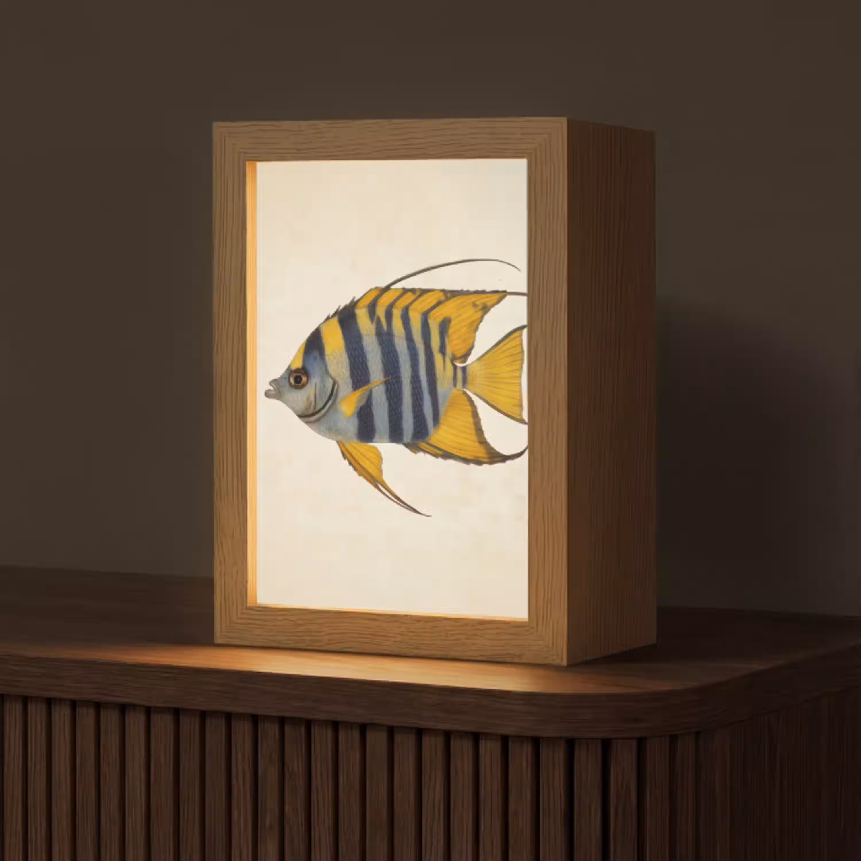 Vis - Sierlijk - Vinnen - Illustratie Light Box met kabel (Tafellamp) klein -z3d_website