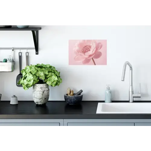 Bloem - Pioenroos - Roze Muursticker klein -keuken