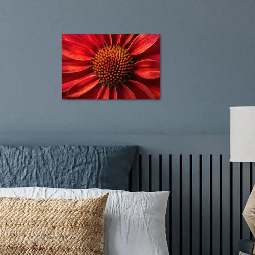 Close up - Bloem- Rood poster papier klein -sfeer2