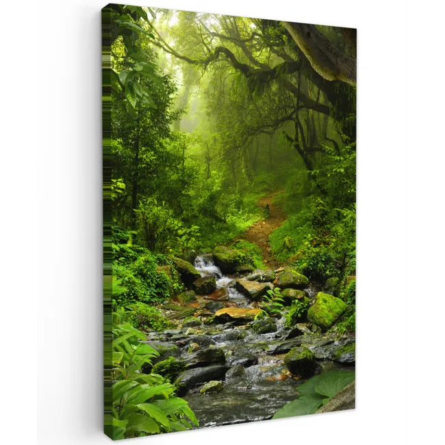 Natuur - Water - Jungle - Bos - Tropisch canvas 2cm klein -z3d