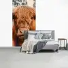 Koe- Schotse hooglander - Hoorns - Bruin - Landschap fotobehang vinyl groot -slaapkamer
