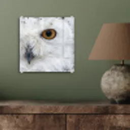 Sneeuwuil - Oog - Wildlife - Wit plexiglas 5mm klein -sfeer3