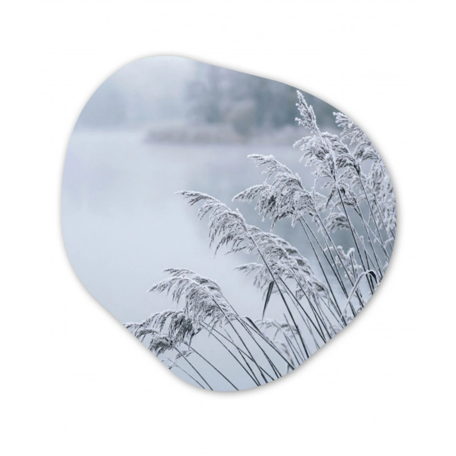 Riet - Bevroren - Winter - Natuur Wandcirkel Organisch Aluminium middel -3d