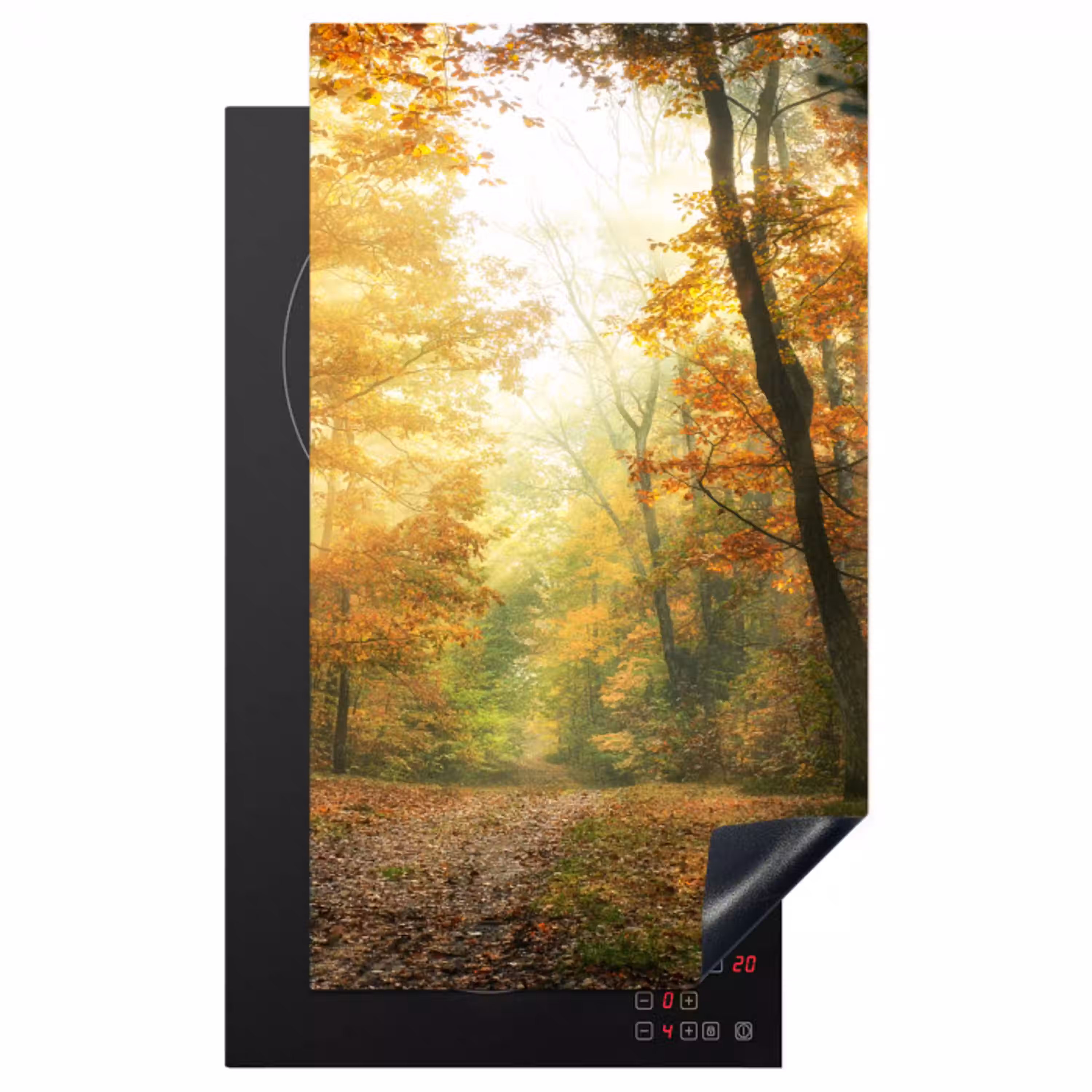 Bos - Herfst - Zon - Landschap - Natuur - Bomen - Bladeren Inductie beschermer vinyl 3mm middel -3d