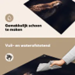 Roofvogel - Buizerd - Bruin Inductie beschemer met haakjes klein -ky-schoon-nl