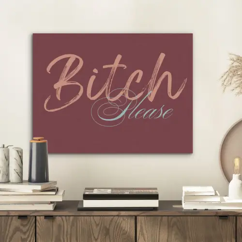 Bitch please - Rood - Blauw PET vilt klein -sfeer1