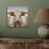 Longhorn - Grasveld - Dier aluminium wit klein -sfeer2