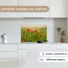 Lente - Bloemen - Rood - Klaproos - Gras - Groen keuken achterwand spatscherm klein -sfeer4_FR