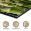 Asperges - Groen - Zwart aluminium wit klein -closeup_NL