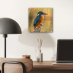 IJsvogel - Tak - Water - Kleurrijk - Levendig plexiglas 5mm klein -sfeer6