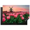 Tulpen - Molen - Nederland Inductie beschermer vinyl 3mm klein -3d