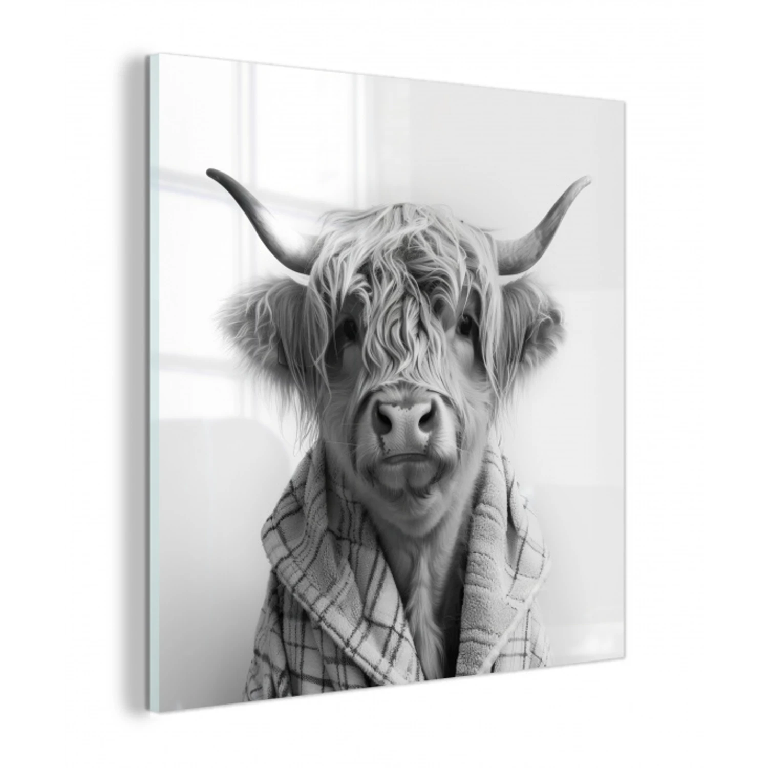 Schotse Hooglander - Koe - Badjas - Zwart wit plexiglas 5mm klein -z3d