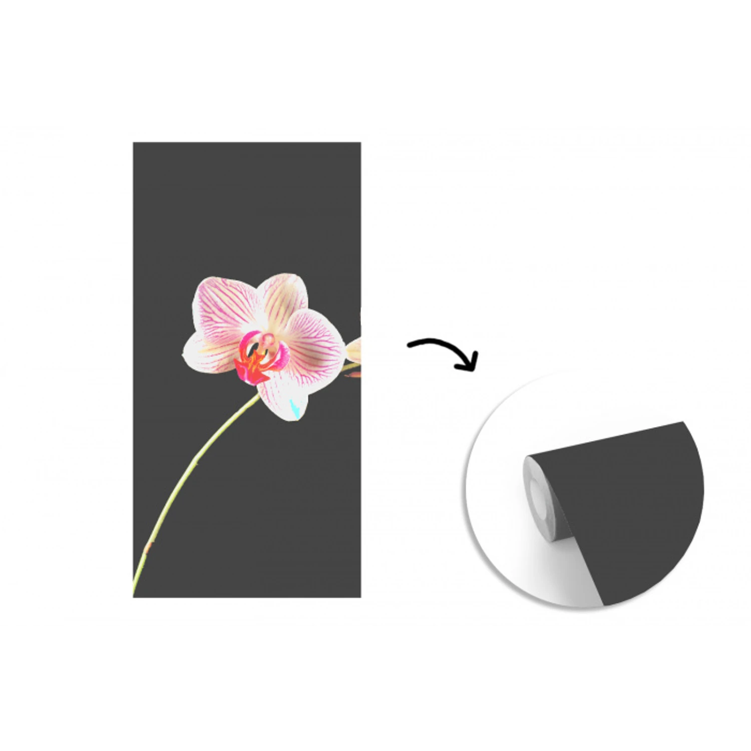 Orchidee - Bloemen - Zwart - Roze - Knoppen fotobehang vinyl groot -3d