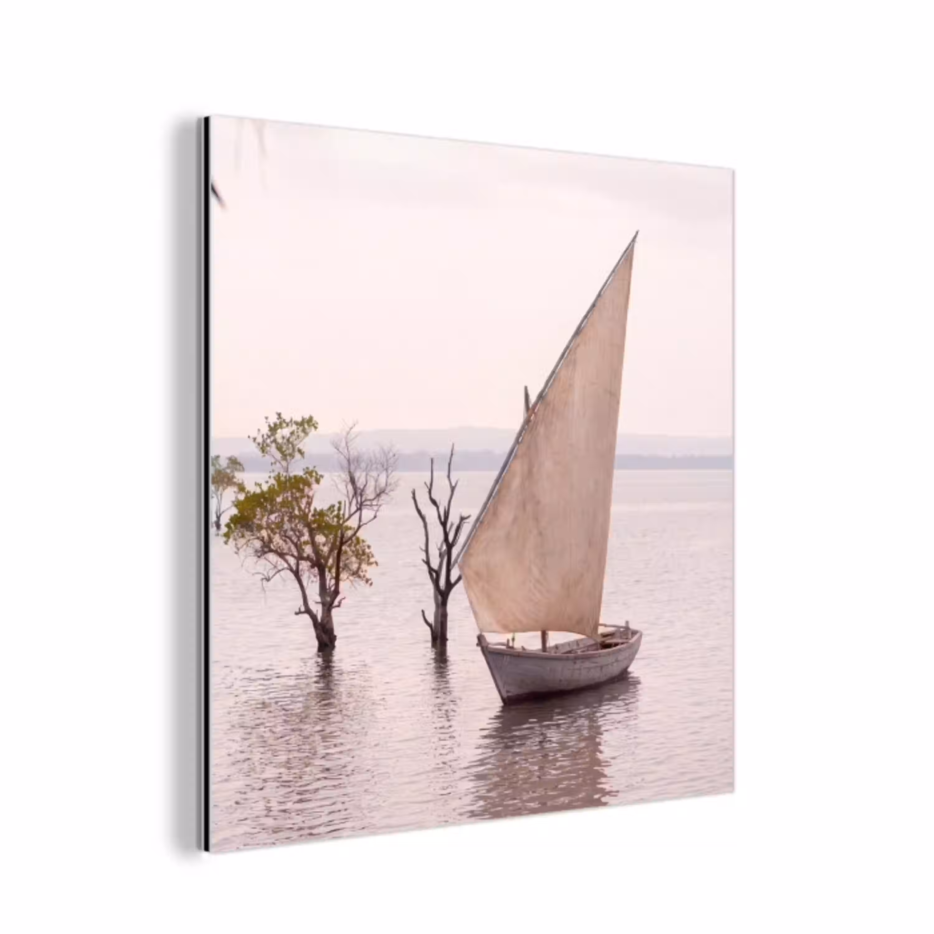 Boot - Zeil - Water - Tropisch - Natuur aluminium wit klein -3d