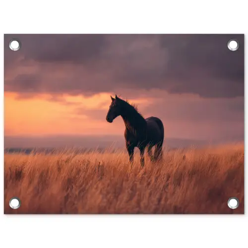 Paard - Wolken - Open veld tuinposter los doek klein -3d