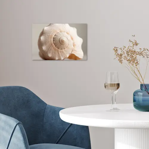 Schelp - Detail - Beige poster papier klein -sfeer3