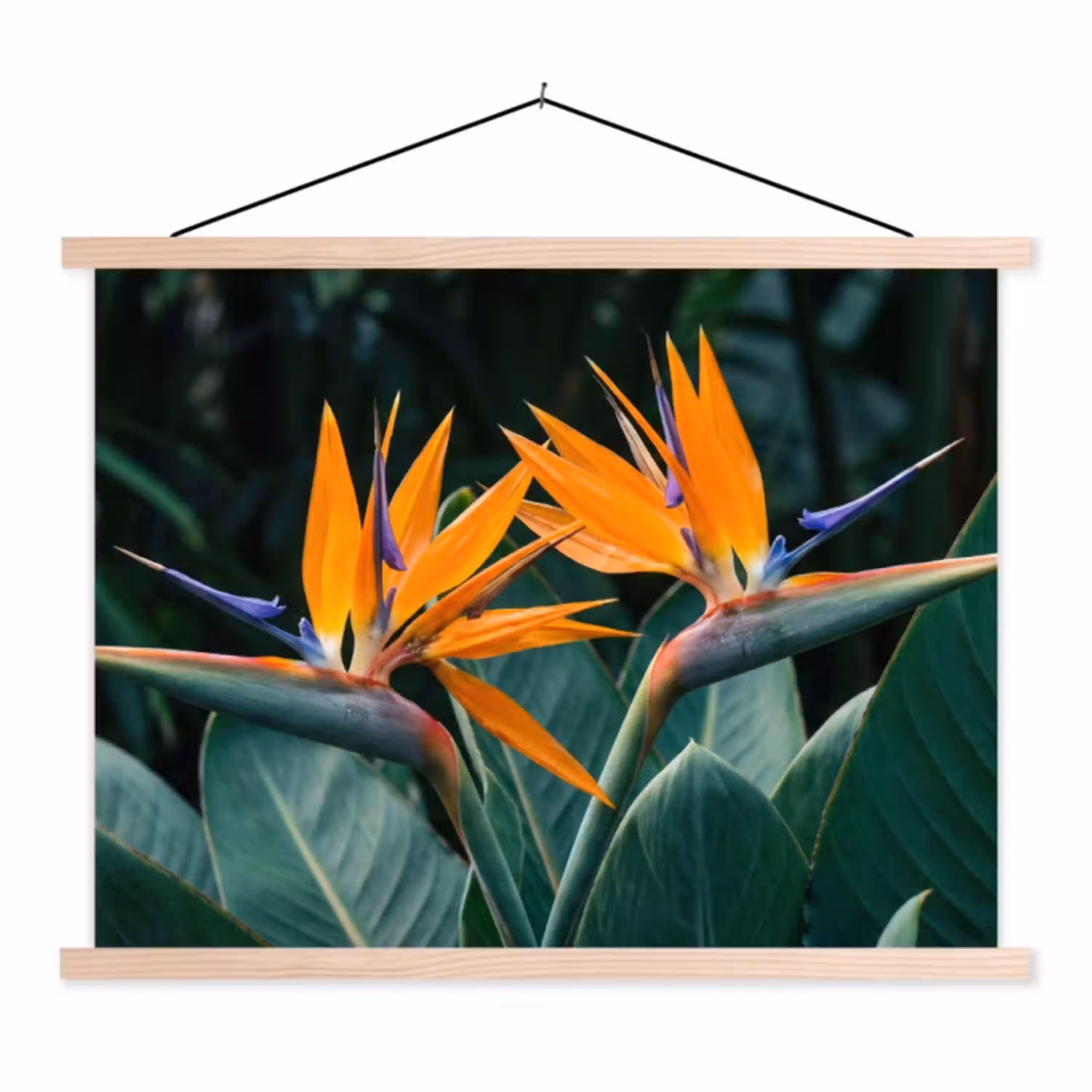 Paradijsvogel - Bloem - Exotisch textielposter latten blank klein -3d