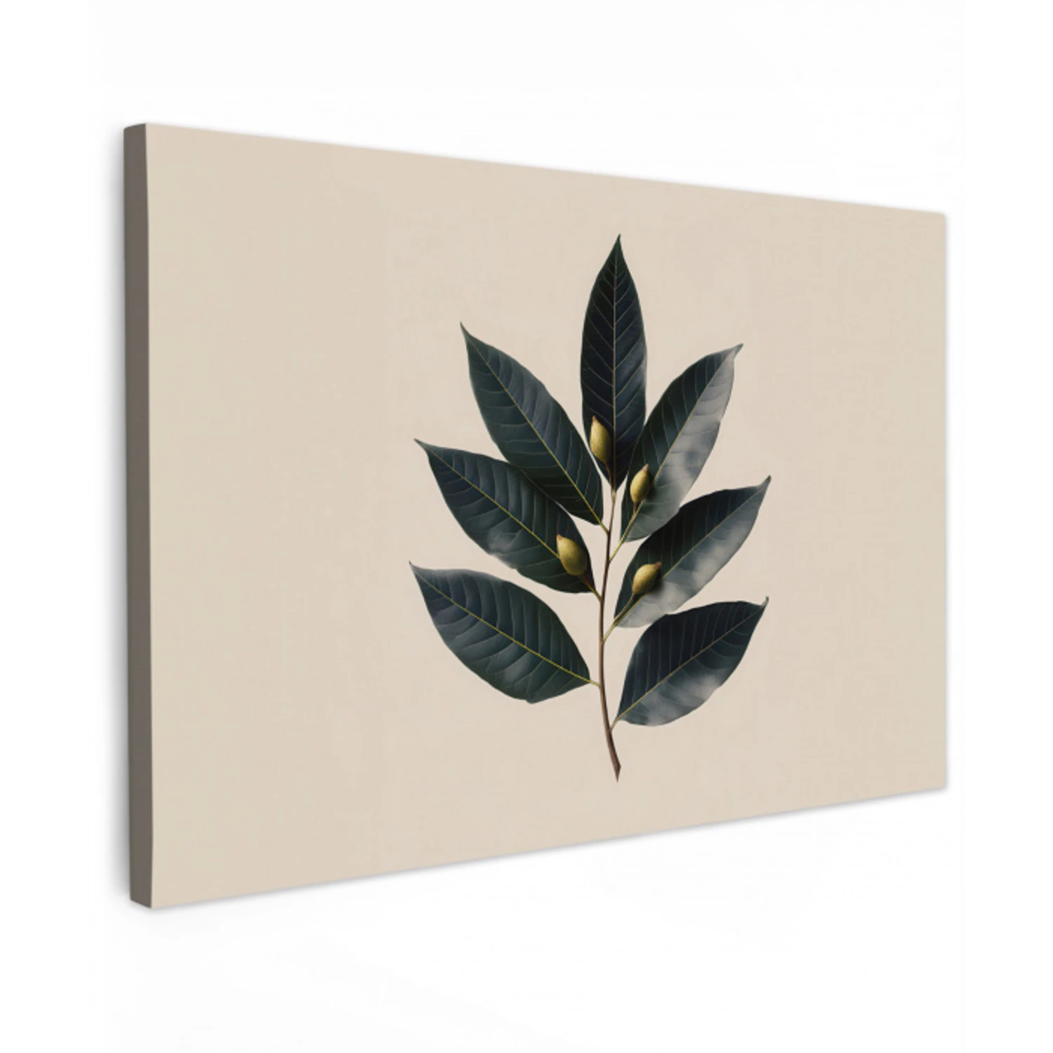 Laurierbladeren - Bloemknoppen - subtiel canvas 2cm klein -z3d