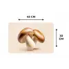 Champignons - Zacht - Beige Placemat vinyl groot -specs