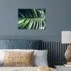 Tropisch - Inductie mat - Natuur - Inductie beschermer - Jungle poster papier klein -sfeer2