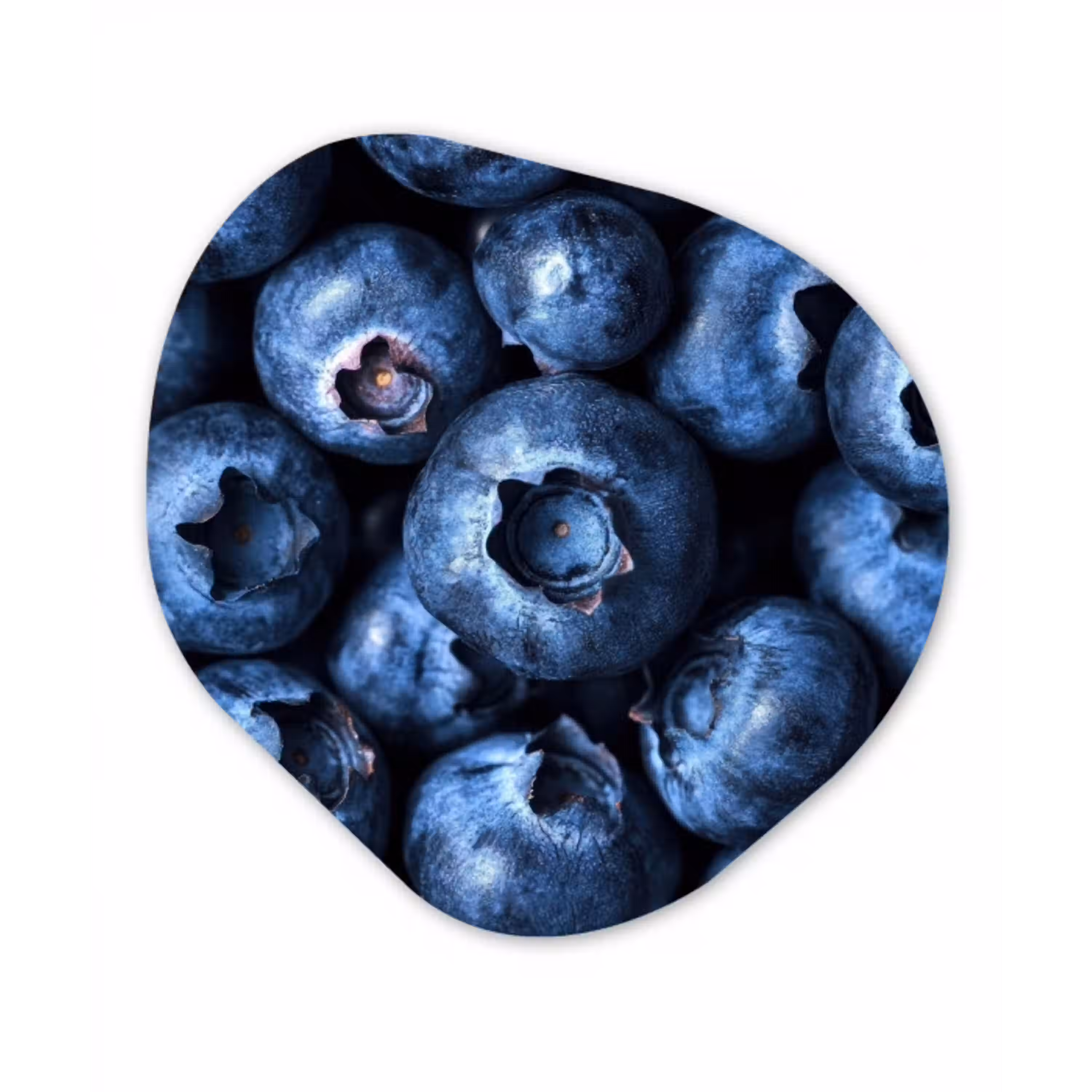 Bessen - Blauw - Fruit Wandcirkel Organisch Forex 3mm klein -3d