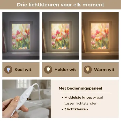 Tulpen - Sprookjesachtig - Kleurrijk Light Box met kabel (Tafellamp) klein -USP_lichtkleurNL