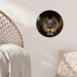 Leeuw - Dieren - Zwart - Portret Wandcirkel behangsticker klein -sfeer4