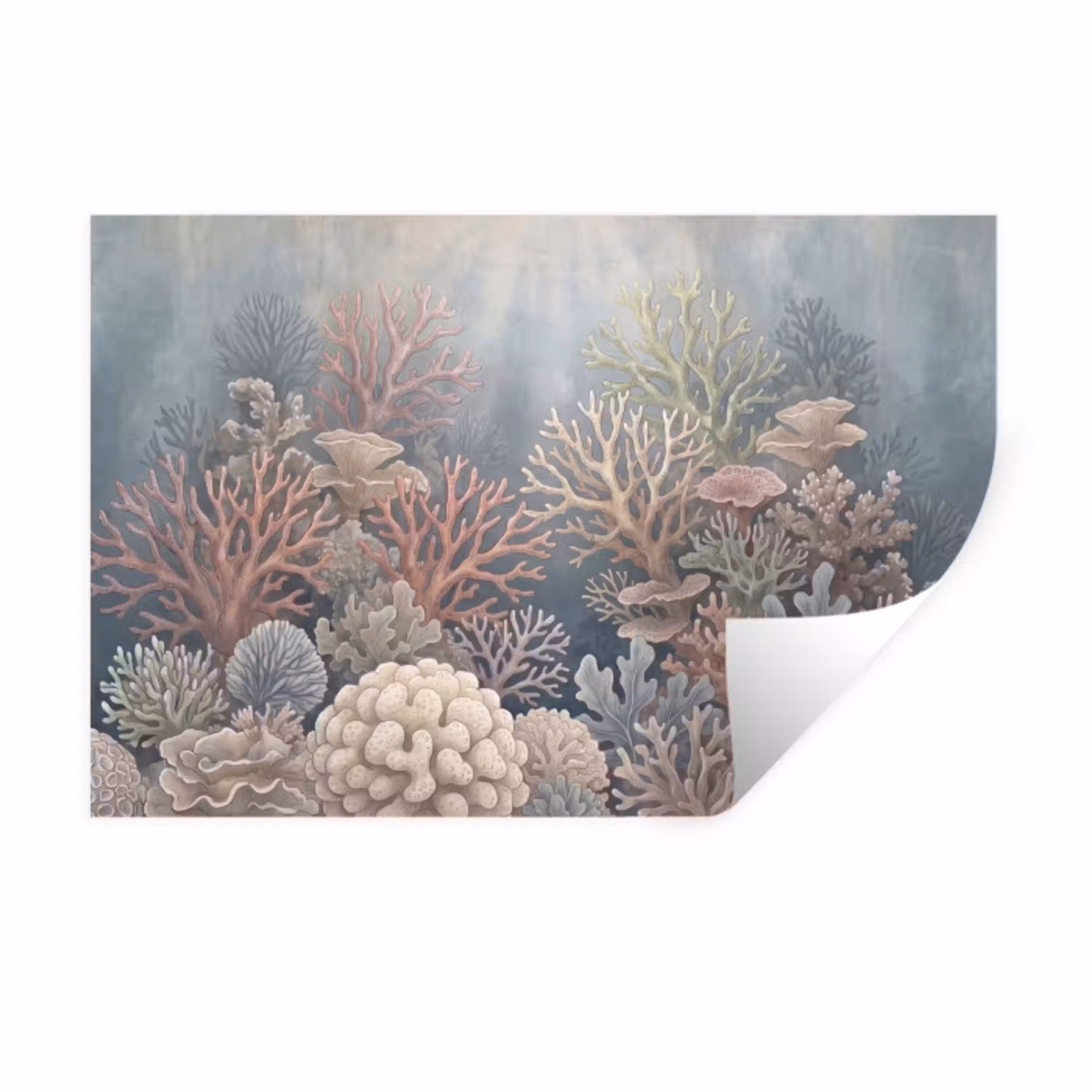 Koraal - Zeeleven - Onderwater - Illustratie - Natuur Muursticker klein -3d