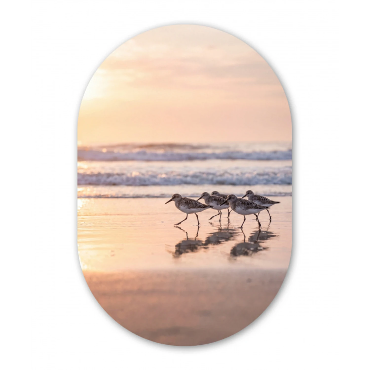 Zee - Vogels - Strand Wandcirkel Ovaal Aluminium middel -3d