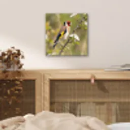 Putter - Bloesem - Lente - Natuur - Kleurrijk aluminium wit klein -sfeer3