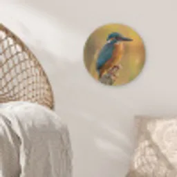 IJsvogel - Tak - Water - Kleurrijk - Levendig Akoestische PET Vilt - Rond klein -sfeer4