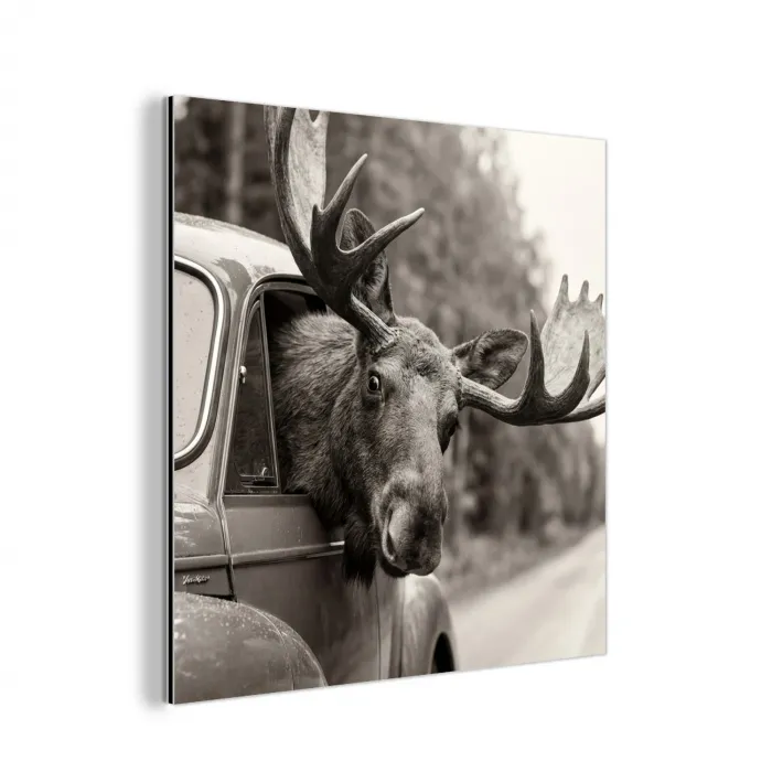 Eland - Auto - Gewei - Zwart - Wit aluminium wit klein -3d
