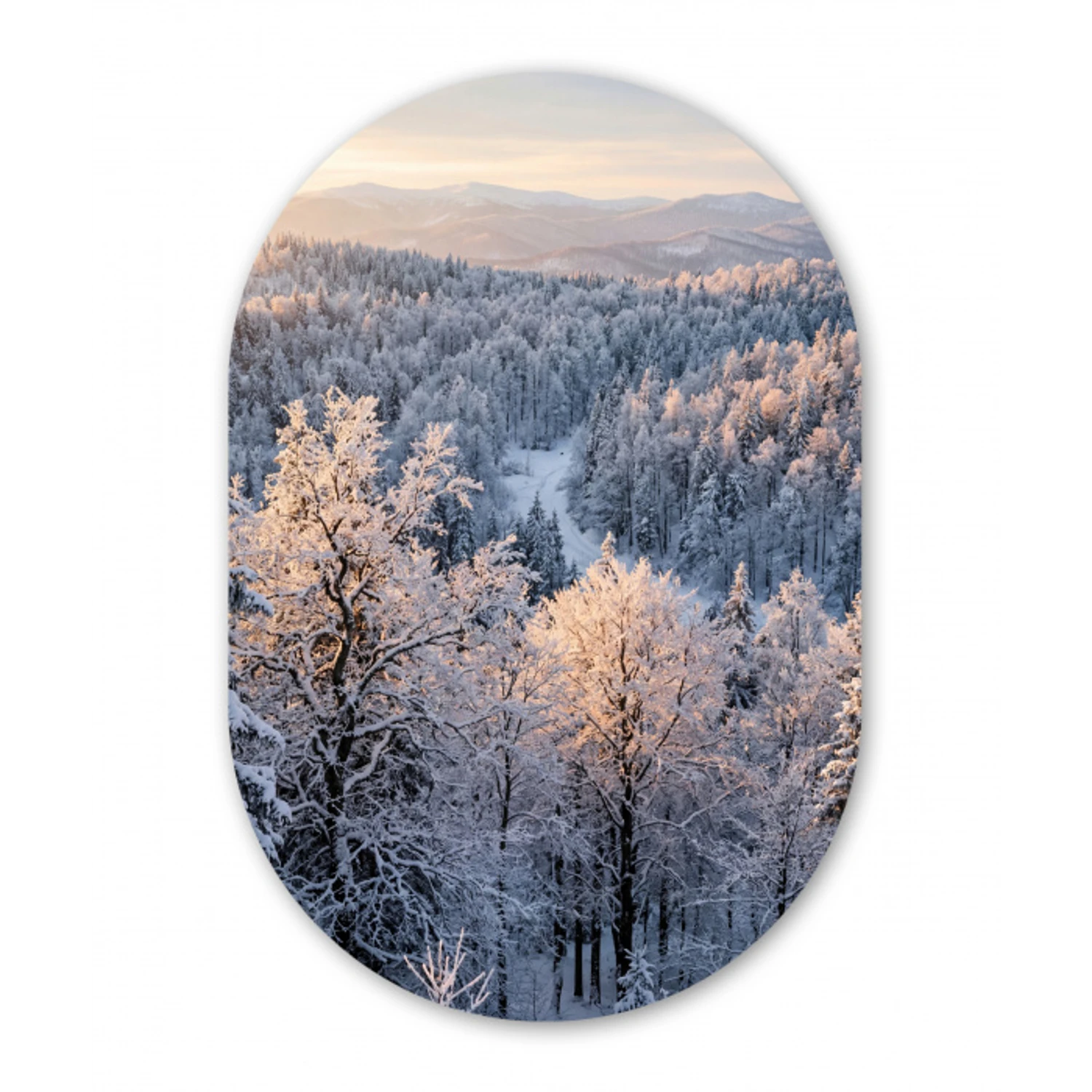 Bos - Bergen - Goud - Winter - Warm Wandcirkel Ovaal Aluminium middel -3d