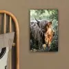 Schotse Hooglanders - Bos - Dieren canvas 2cm klein -sfeer3