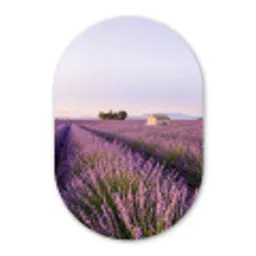 Lavendel - Landschap - Sereen - Paars Wandcirkel Ovaal Aluminium middel -3d