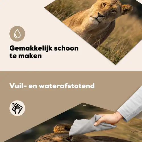 Leeuwin - Gras - Geel Inductie beschemer met haakjes klein -ky-schoon-nl