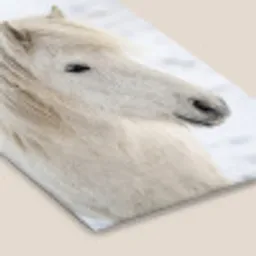 Paard - Kop - Winter - Dieren - Wit fotolijst zwart zonder passe partout klein -zsfeer6